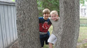 2011 Double tree of life 003